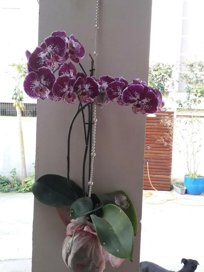 Recanto Ravi Florianopolis Apartment